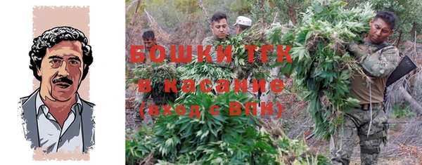 спайс Баксан