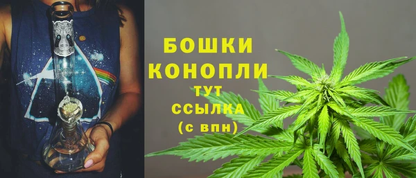 спайс Баксан