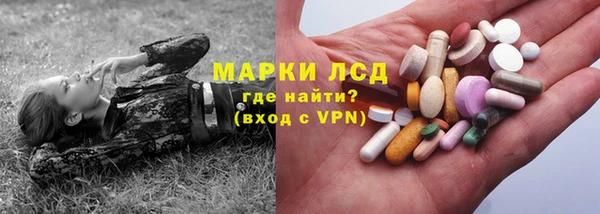 спайс Баксан