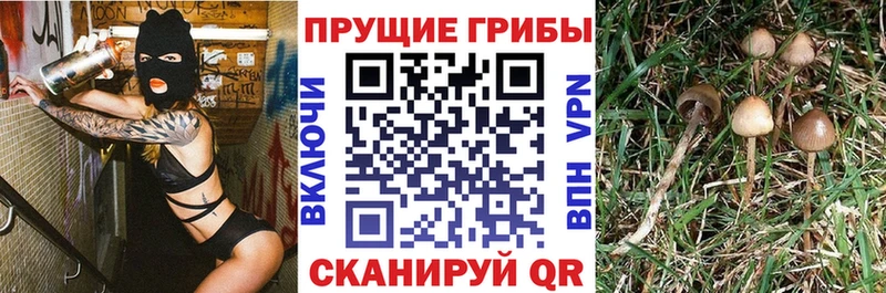 Псилоцибиновые грибы прущие грибы  Белогорск 